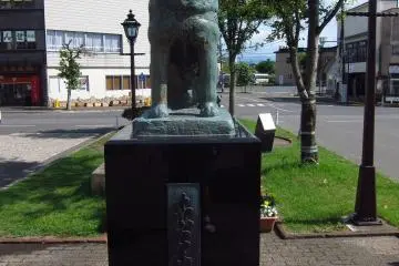 Hello Hachiko