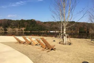 These chairs are begging to be used.