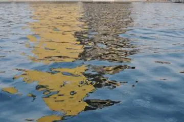 Le rivière était un peu sale et remplie de méduse