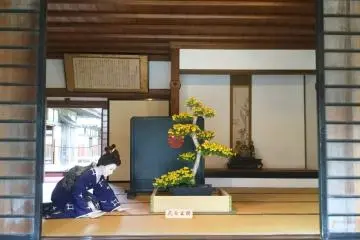 계절별 전시로 여러분을 맞이하는 집의 여인