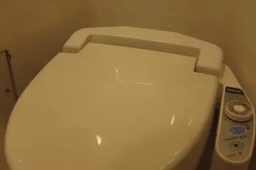 Japanese washbowl
