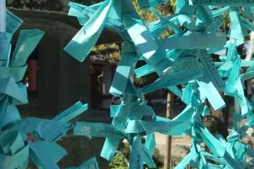 Bright teal colored omikuji - fortune telling strips of paper