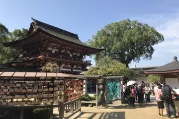 Shrine views