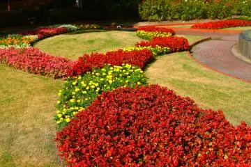 สวนพฤกษศาสตร์แห่งเมืองฟุคุโอะกะเป็นสถานที่ที่ดีสำหรับมาปิกนิคในฤดูร้อน