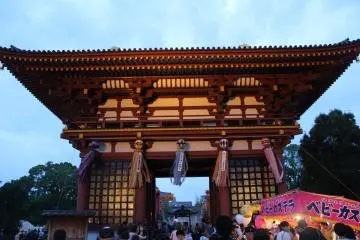 Gallery image