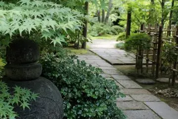 <p>ทางเดินจากโรงน้ำชาไปยังสวน</p>