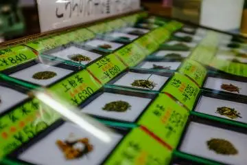 Impressive selection of tea