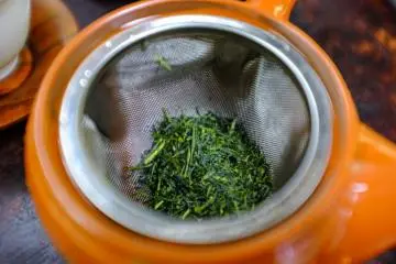 Kukicha tea