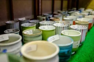 Beautifully crafter tea cups