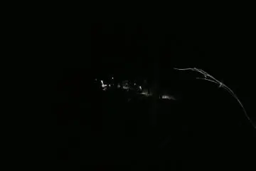 Hikers in the night