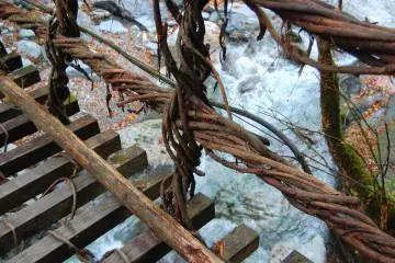 Wife Bridge