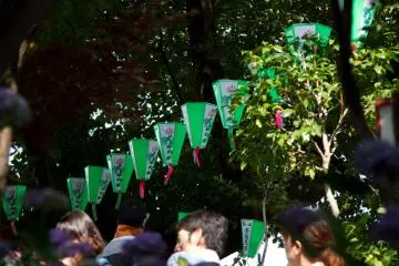사원 구내에 떠있는 초록색 등불들
