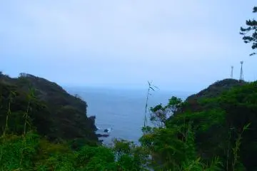 A glimpse of the ocean on the hike to the cape