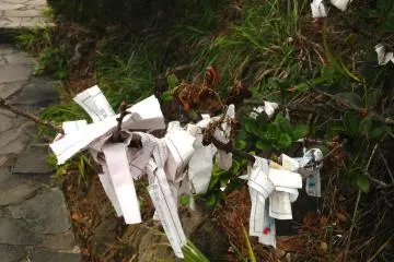 Some fortunes left behind