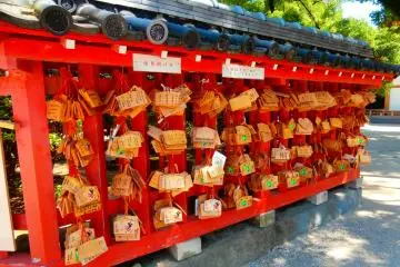 Thousands of wishes hung along in rows
