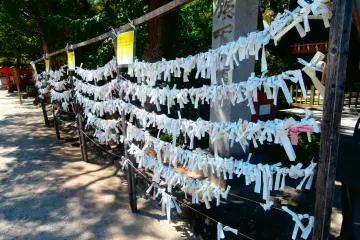 People tie their written oracles along these ropes