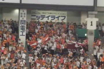 Throngs of MFs