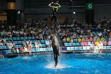Jump!