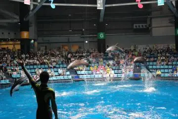 Ready, set, fly!