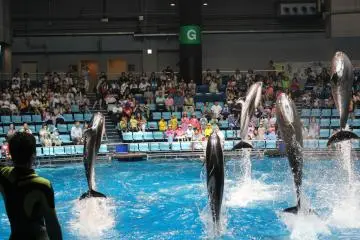 Synchronized