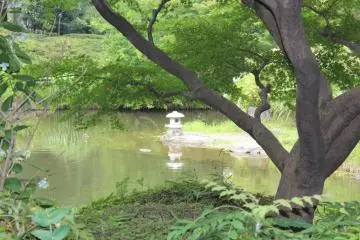 Koi pond (Photo: Erika Clark )