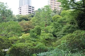Pocket of green within the city (Photo: Erika Clark )