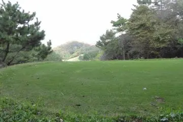 Beautiful green field 30 minutes into the hike