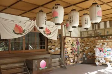The shrine is surrounded by peach images...