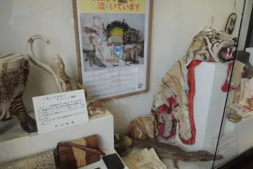 Illegal animal items are also displayed