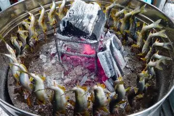 Poissons Ayu de Kurobane, Tochigi