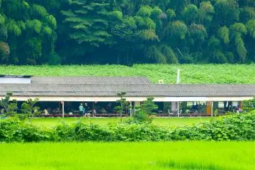 <p>Vue sur le restaurant au bord de la rivi&egrave;re</p>