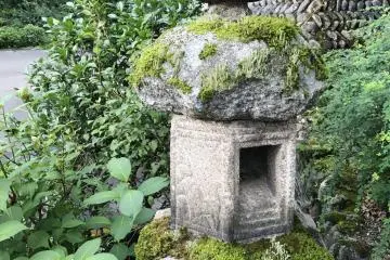 Moss and greenery is everywhere