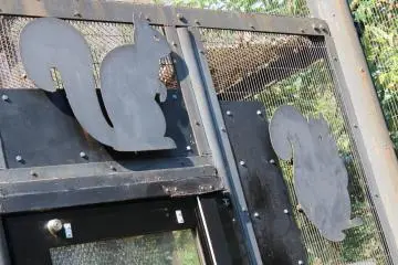 Enter the Squirrel Trail and watch Japanese squirrels race around your legs and jump through the trees.