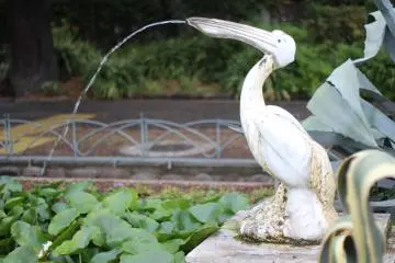 <p>น้ำพุรูปนกกระสาอันโดดเด่น</p>