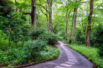 The perfect place to escape the big city feeling and enjoy the fresh air.