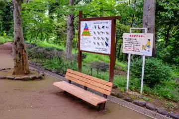 Keep a look-out for some local birds in the park