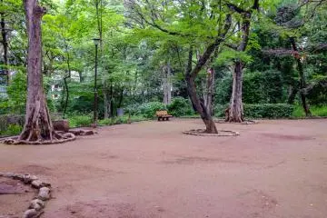 There's lots of space for families in the park, making it a perfect outing for the family.