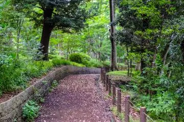 There are many different routes you can take