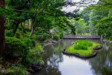 Beautiful ponds located in the lower section of the park add to the serenity.