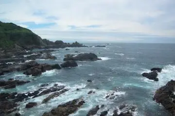 Pemandangan semenanjung dari akuarium