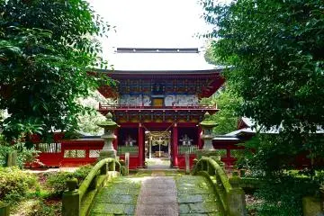 Gallery image