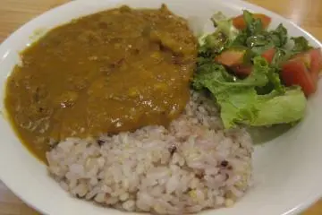 Vegetarian Curry Rice