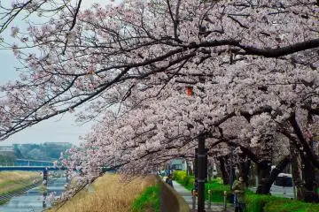 Kanal yang mengarah ke selatan dari Totsuka