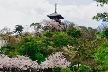 Pagoda Taman Sankeien