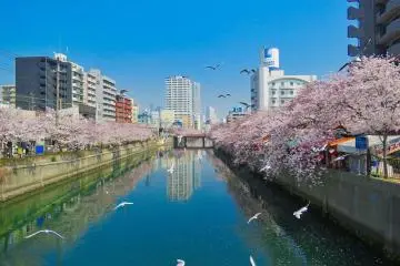 Sungai Ooka