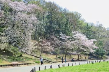 Taman Anak-anak Hodogaya