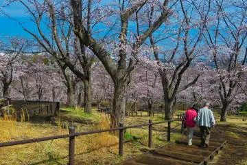 Kodomo Natural Park