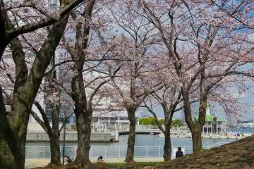 Taman Laut Hakkeijima