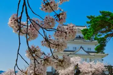 Kastil Odawara