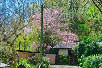 Taman Maioka